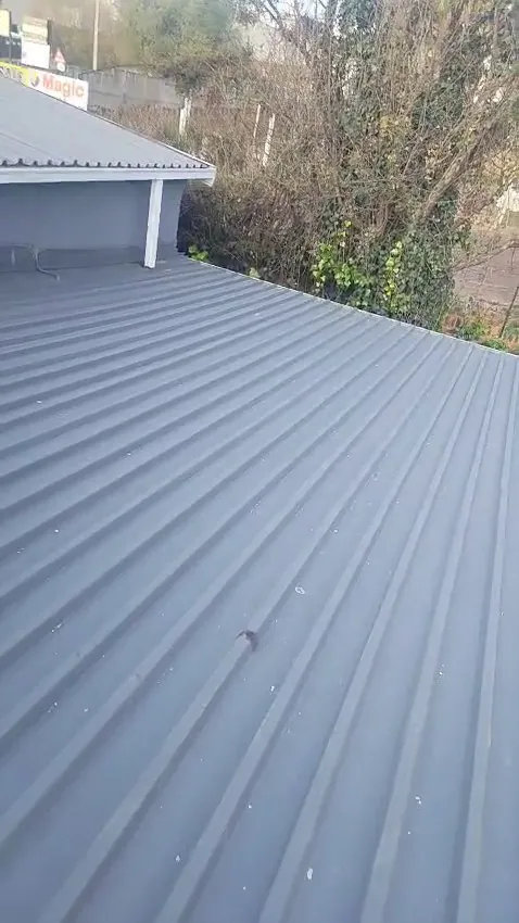 Painted grey metal sheet roof on a house, with a gutter along the edge